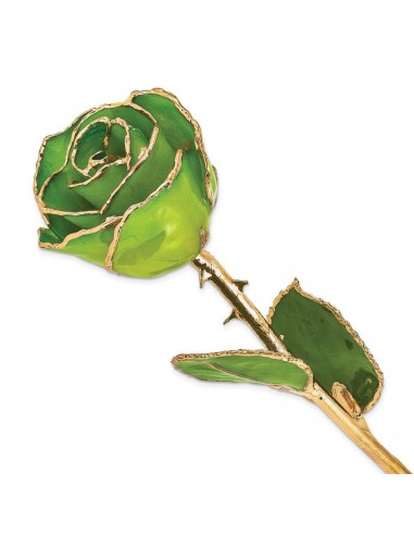 Lacquer Dipped Gold Trim Apple Green Rose Comparez et commandez 