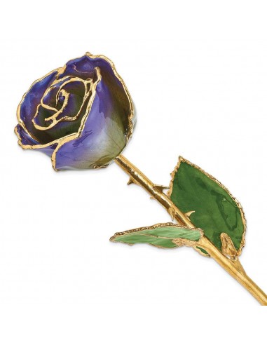 Lacquer Dipped Gold Trim Peridot/Blue Violet Pearl Rose de France