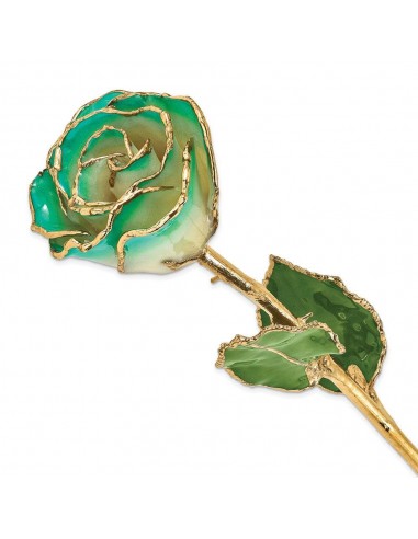 Lacquer Dipped Gold Trim White/Turquoise Green Rose de pas cher