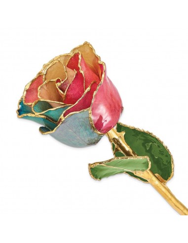 Lacquer Dipped Gold Trim Tri-color Rose Toutes les collections ici