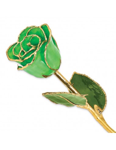 Lacquer Dipped Gold Trim Geo Green Rose france