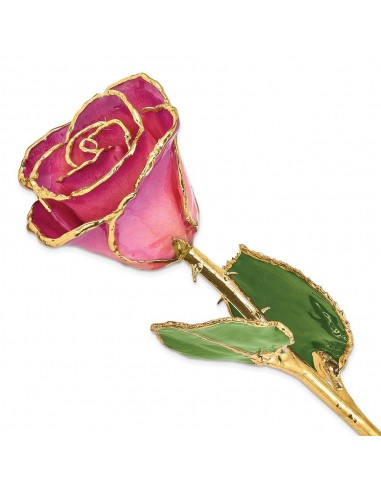 Lacquer Dipped Gold Trim Pink Picasso Rose Les magasins à Paris