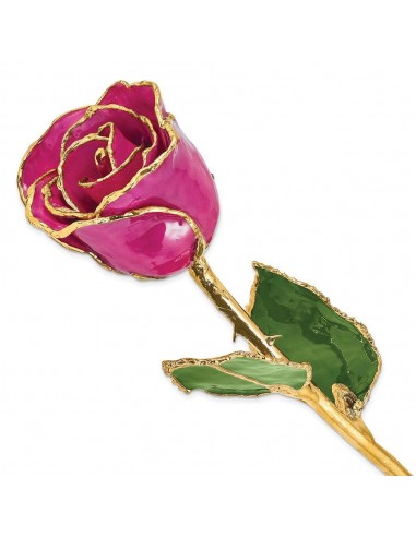 Lacquer Dipped Gold Trim Fuchsia Rose Livraison rapide