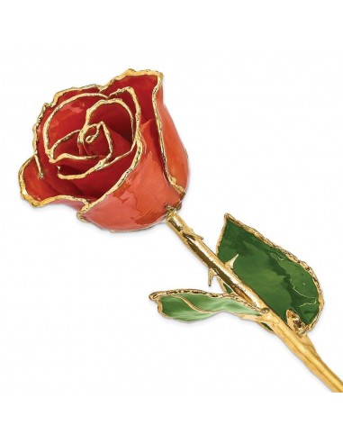 Lacquer Dipped Gold Trim Sonia Pearl Rose de France