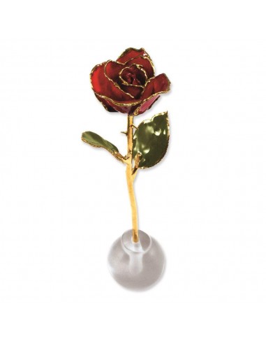 Lacquer Dipped Gold Trim Knob Stand Red Spring Rose Set est présent 