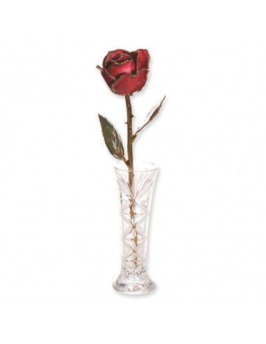 Lacquer Dipped 24k Gold Trim Red Rose & Small Bud Vase Set solde