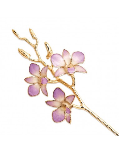 Lacquer Dipped Gold Trimmed Lilac & White Orchid Stem Les êtres humains sont 