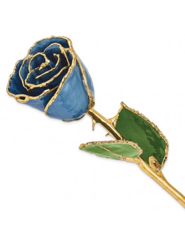 Lacquer Dipped Gold Trimmed Navy Pearl Rose hantent personnes