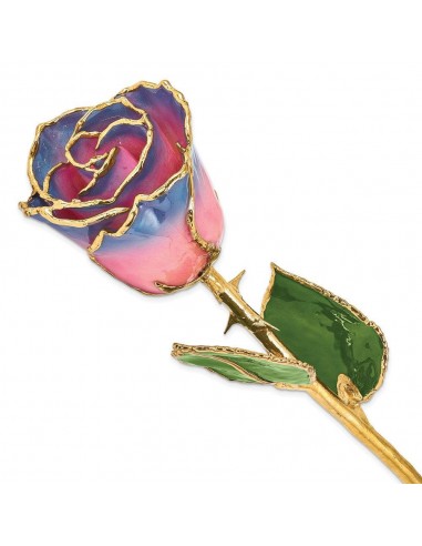 Lacquer Dipped Gold Trimmed Pink/Navy Rose Paris Déstockage Promo