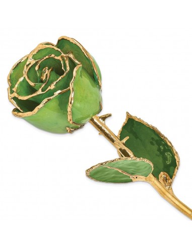 Laquer Dipped Gold Trimmed Peridot/Topaz Rose du meilleur 