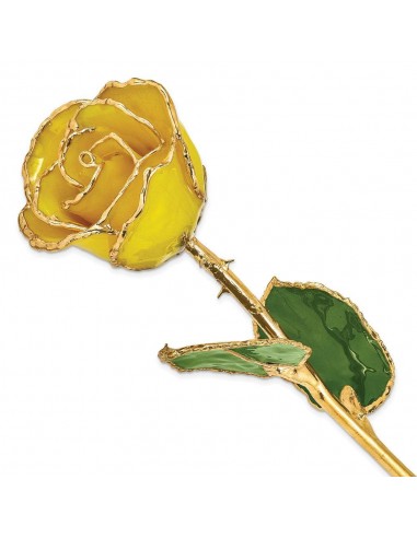 Lacquer Dipped Gold Trim Yellow Rose plus qu'un jeu 