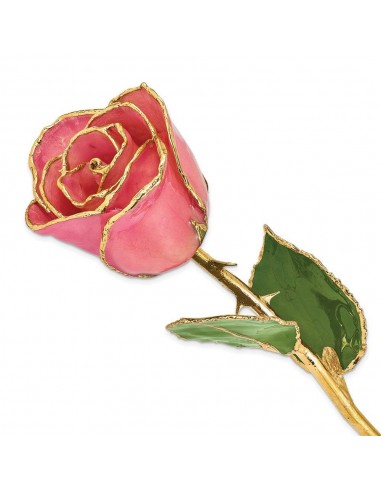 Lacquer Dipped Gold Trim Pink Rose Venez découvrir notre 