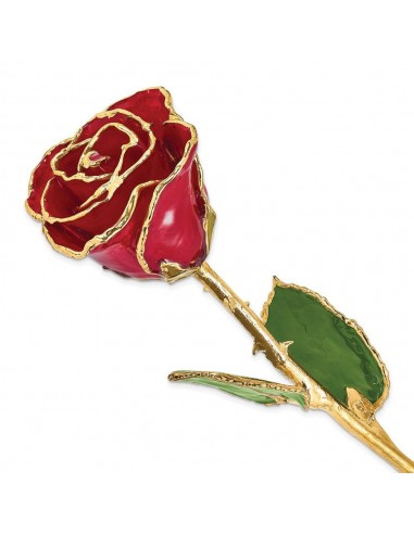 Lacquer Dipped Gold Trim Red Rose chez Cornerstreet bien 