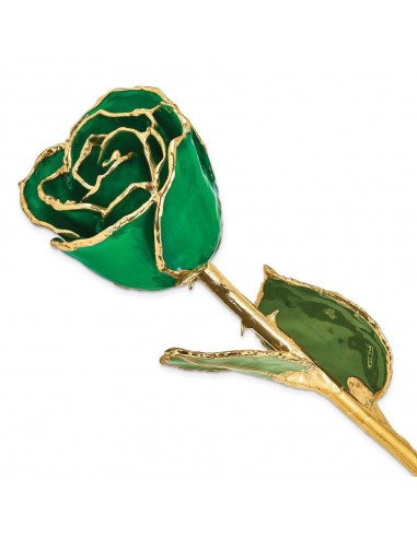 Lacquer Dipped Gold Trim Green Rose Comparez plus de prix