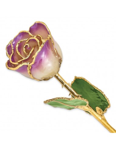 Lacquer Dipped Gold Trim Amethyst Rose solde