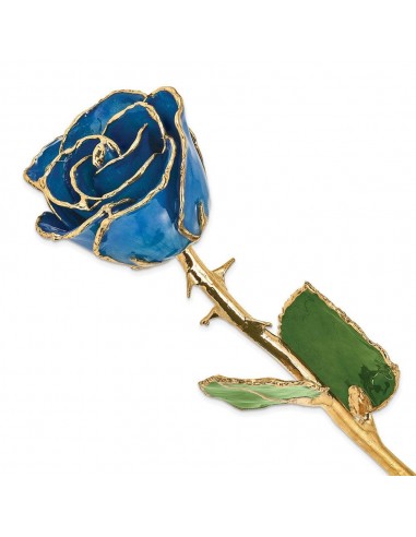 Lacquer Dipped Gold Trim Blue Rose une grave pollution 