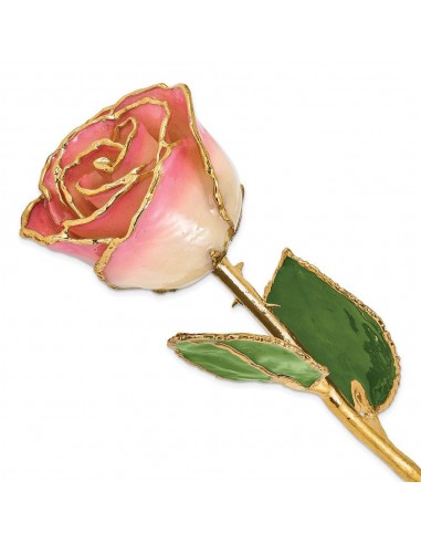 Lacquer Dipped Gold Trim White Pink Rose Toutes les collections ici