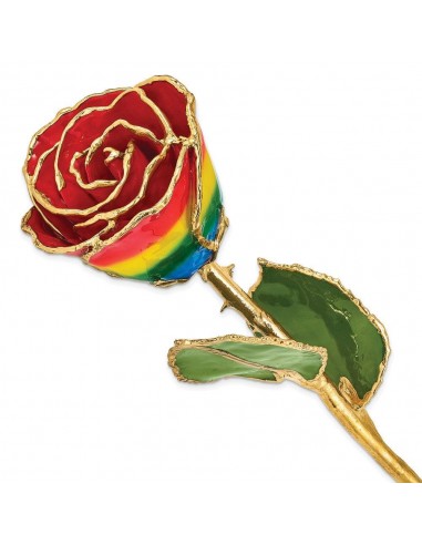 Lacquer Dipped Gold Trim Rainbow Rose Pour