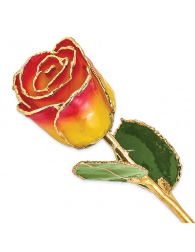 Lacquer Dipped Gold Trim Yellow Red Rose france