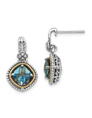 Sterling Silver w/14k London Blue Topaz Post Earrings brillant des détails fins