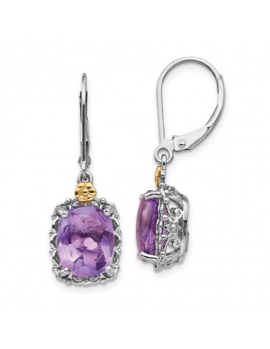 Sterling Silver w/14k Amethyst Earrings Fin de série