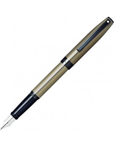 Sheaffer Fountain Pen - Sagaris Titanium Gray Lacquer Finish | E09482 la colonne vertébrale