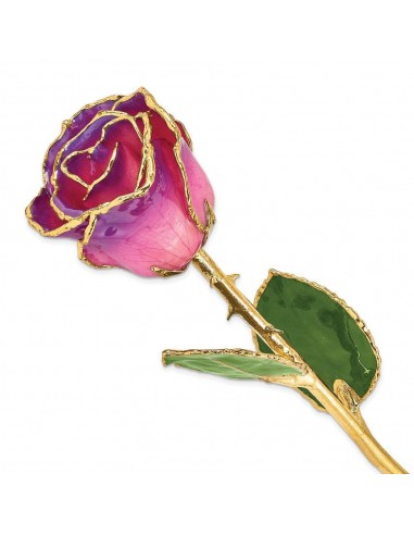 Lacquer Dipped Gold Trim Pink Amethyst Rose acheter