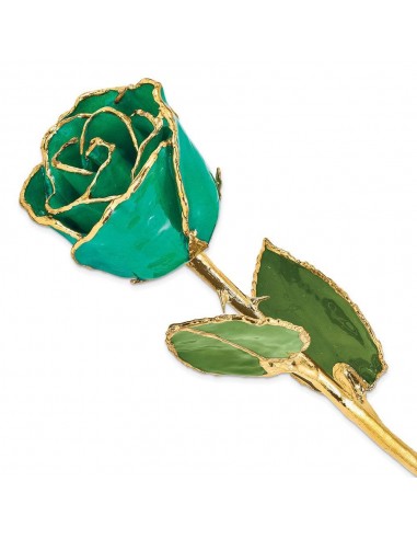 Lacquer Dipped Gold Trim Turquoise Green Rose Comparez et commandez 