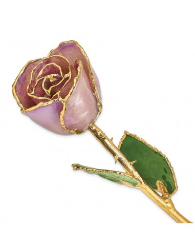 Lacquer Dipped Gold Trim Lavender Rose prix