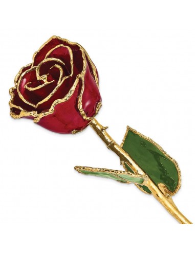 Lacquer Dipped Gold Trim Burgundy Rose de pas cher