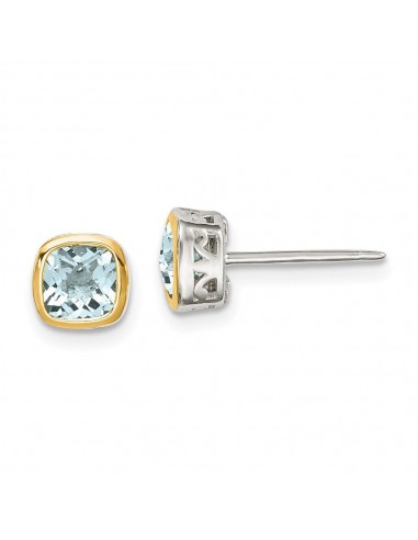 Sterling Silver w/ 14K Accent Aquamarine Square Stud Earrings ouvre sa boutique