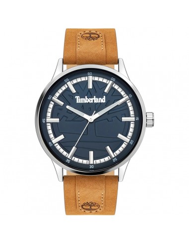 Timberland Men's Watch - Stainless Steel Case Blue Dial Leather Strap | TDWGA2090603 du meilleur 