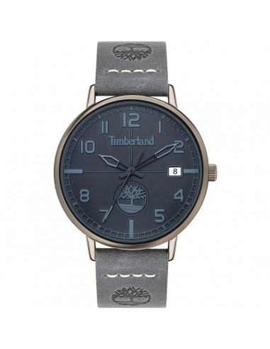 Timberland Men's Watch - Date SS Case Navy Blue Dial Grey Leather Strap | TDWGB2091603 Comparez et commandez 