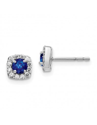 14k White Gold Diamond & Sapphire Earrings en linge