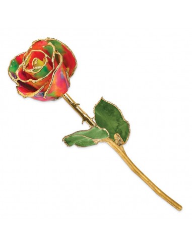 Lacquer Dipped Gold Trim Paradise Neon Tie Dyed Rose Venez découvrir notre 