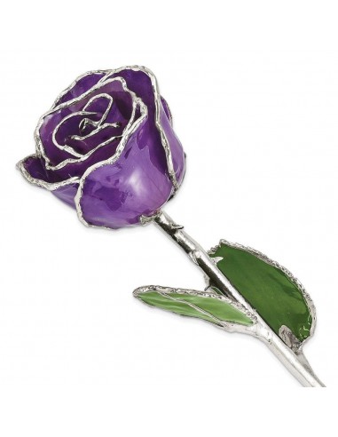 Lacquer Dipped Silver Trimmed Lilac Rose d'Europe débarque