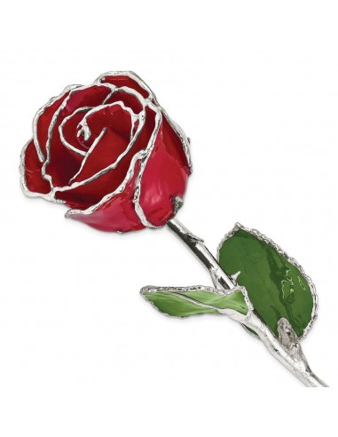 Lacquer Dipped Silver Trimmed Red Rose Dans la société mordern