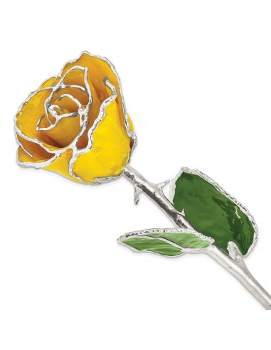 Lacquer Dipped Silver Trimmed Yellow Rose Toutes les collections ici