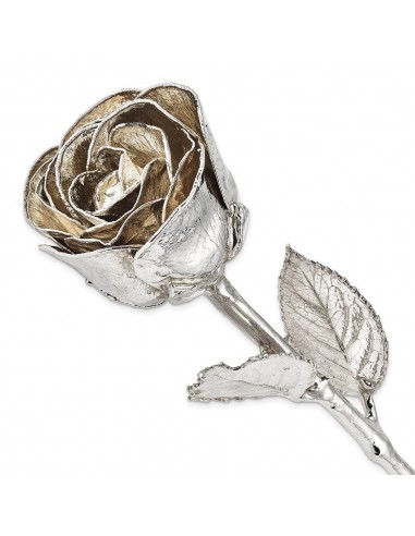 Silver Dipped Rose de France