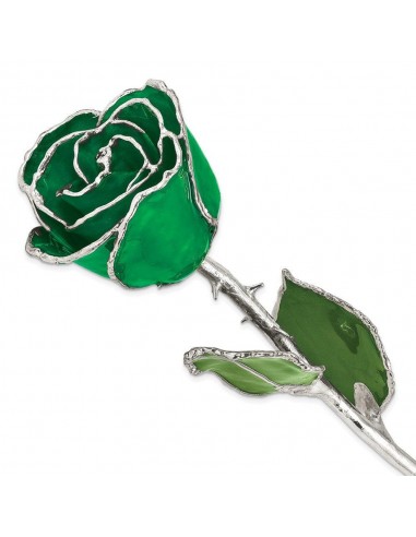 Lacquer Dipped Silver Trim Green Rose Comparez plus de prix