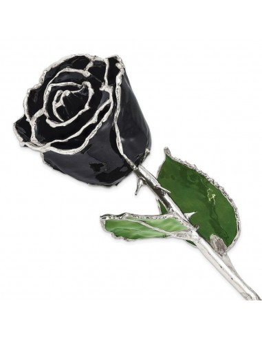 Lacquer Dipped Silver Trim Black Rose Toutes les collections ici