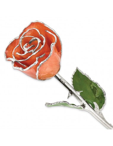 Lacquer Dipped Silver Trim Orange Rose pas cher chine